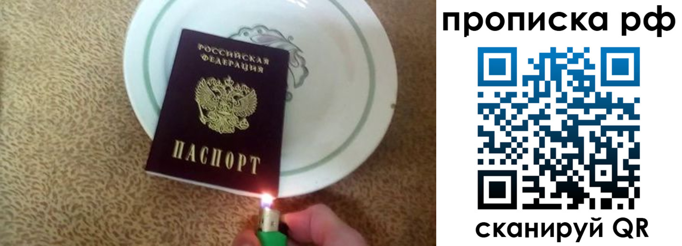 прописка в квартире в Дальнегорске